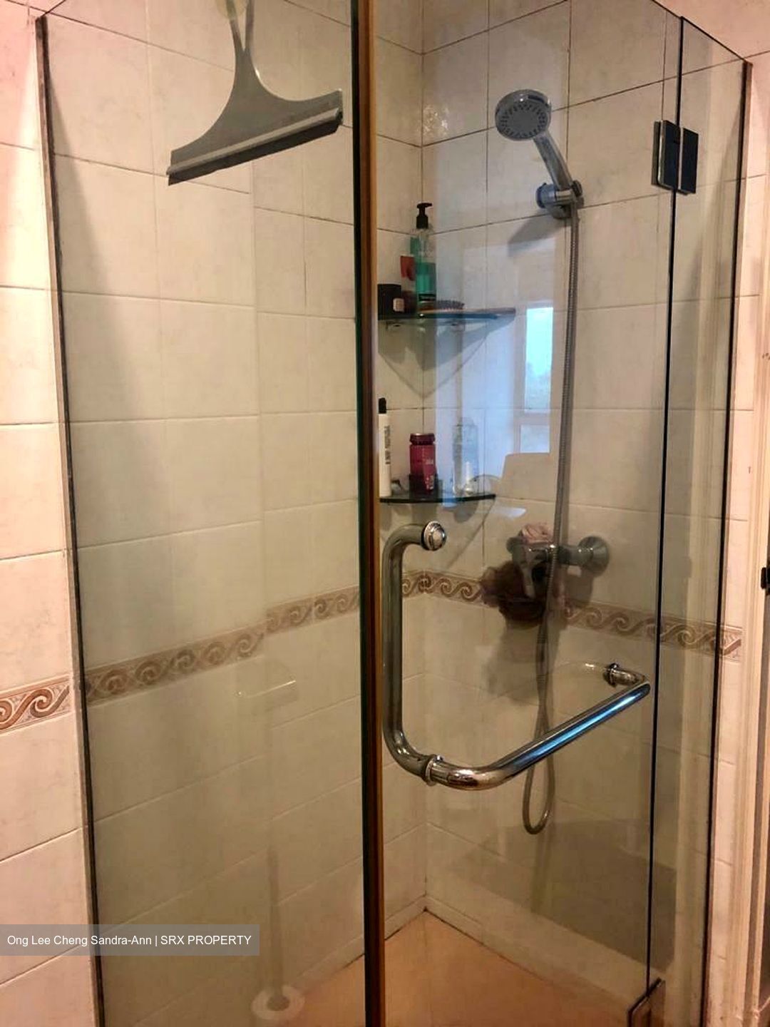 Balmoral Place (D10), Apartment #482276701